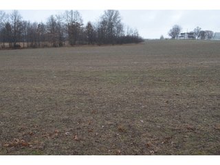 Property photo 15 - FARM AUCTION - 60.5+/- ACRES IN 5 TRACTS IN ALLEN COUNTY, INDIANA
